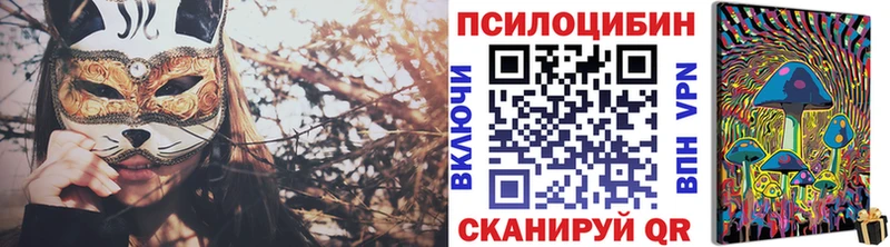 купить  сайты  Высоковск  Галлюциногенные грибы MAGIC MUSHROOMS 